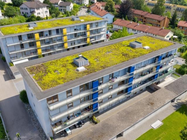 Büroräumlichkeit zu vermieten