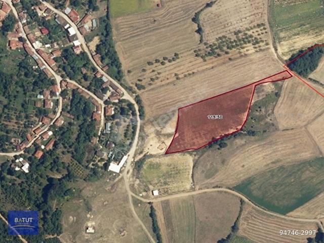 BURSA YENİŞEHİR MECİDİYE DE KÖYE YAKIN KONUMDA SATILIK TARLA