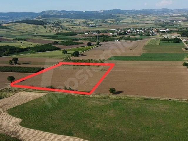 BURSA YENİŞEHİR MENTEŞE TAPULU 15974m MÜKEMMEL KONUMDA TARLA