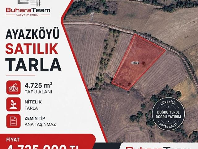 BURSA YENİŞEHİR AYAZKÖYÜNDE SATILIK 4.725m2 TARLA