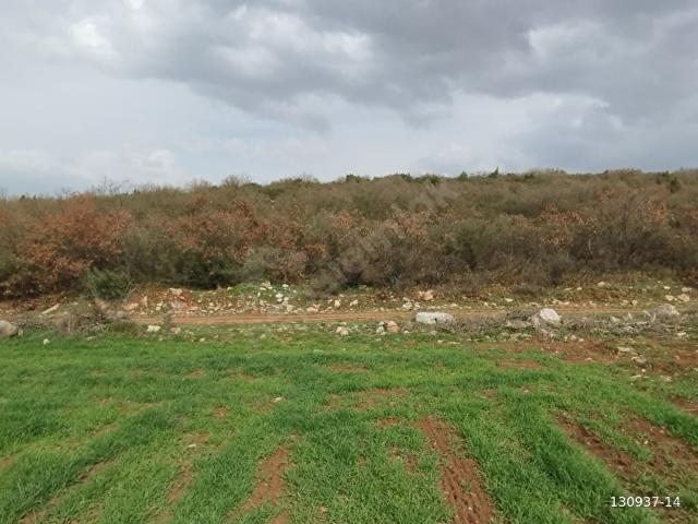 BURSA YENİŞEHİR AKBIYIK MAHALLESİ'NDE SUYU MEVCUT HOBİ BAHÇESİ