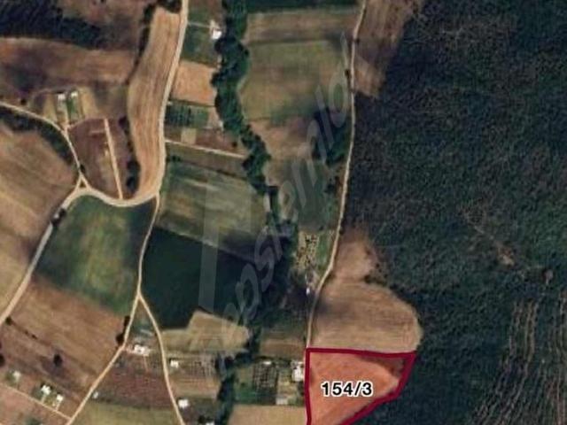 BURSA YENİŞEHİR BURCUNDA FIRSAT 10.364 m2 SATILIK TARLA