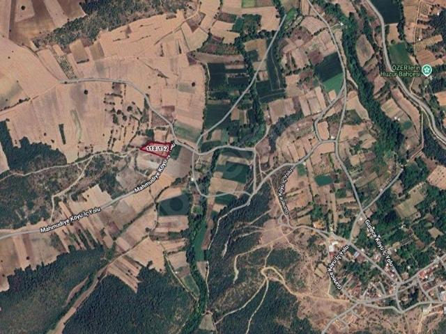 BURSA YENİŞEHİR GÜNECE KÖYÜNDE 4820 m2 SATILIK TARLA