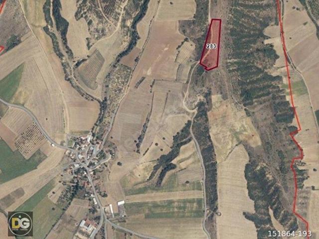 BURSA YENİŞEHİR KARABAHADIR 11,3 DÖNÜM TEK TAPU, VERİMLİ TARLA
