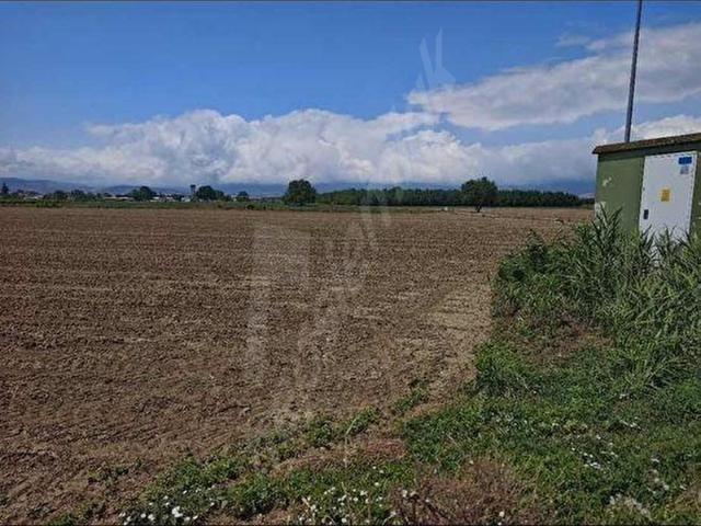 BURSA YENİŞEHİR KARASIL KÖYÜ 3000 m2 TARLA