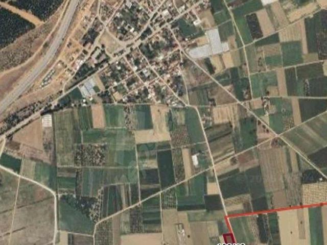 BURSA YENİŞEHİR KOYUNHİSAR'DA 4440m TARLA