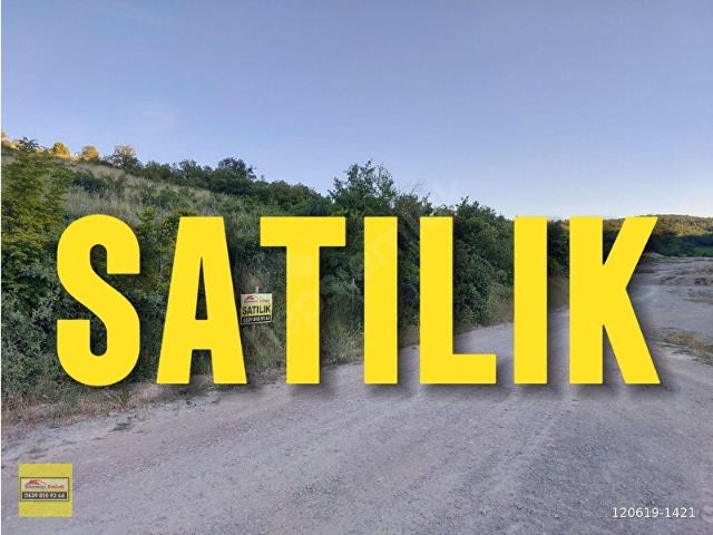 BURSA YENİŞEHİR KOYUNHİSARDA TAKASA AÇIK SATILIK 22 DÖNÜM CEVİZ EKİLİ TARLA