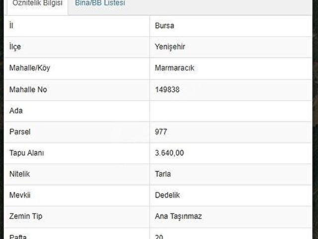 BURSA YENİŞEHİR 242 m YATIRIMLIK TARLA