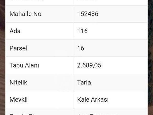 BURSA YENİŞEHİRDE YATIRIMLIK TARLA 2.689 m