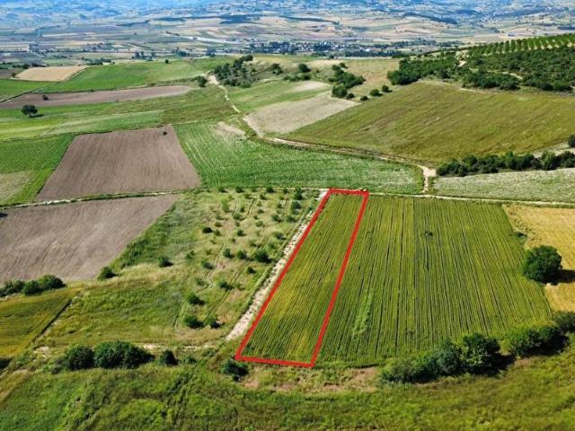 Bursa Yenişehir Çamönü Mahallesinde 2420 m2 Arazi