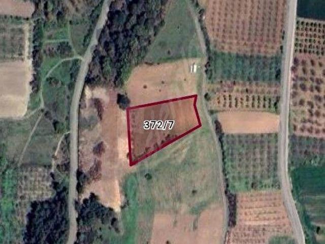 Bursa Yenişehir Akbıyık Mahallesinde Yatırımlık Ceviz Bölgesinde 3.708 m Tarla