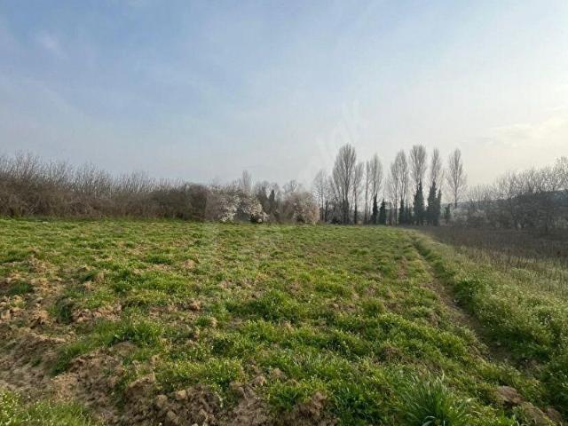 Bursa Yenişehir Selimiye Mahallesinde 2155 M2 Satılık Arazi