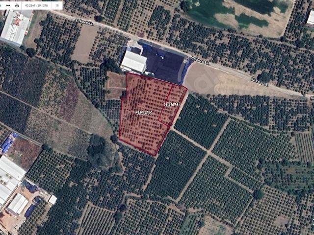 BURSA YILDIRIM SAMANLI DA SATILIK 8385 M2 TARLA