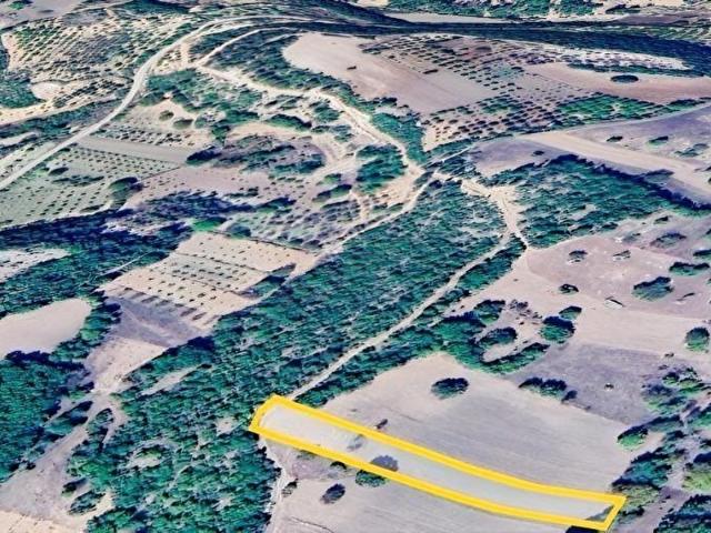 Bursa Başak'ta Satılık 2215 m2 Fırsat Tarla