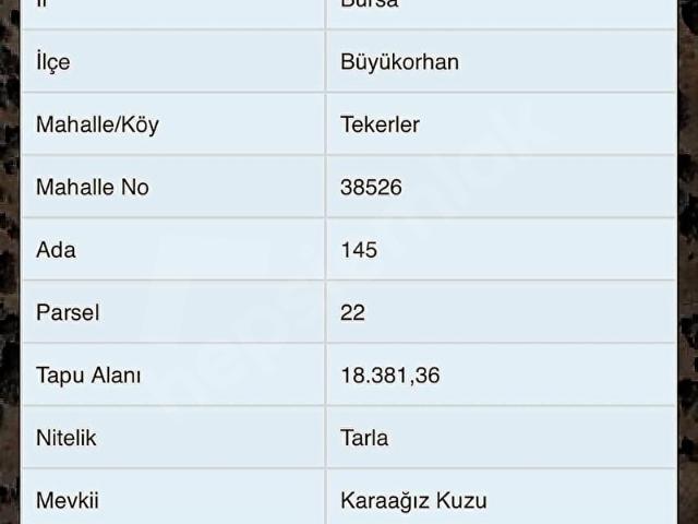 BURSA BÜYÜKORHAN TEKERLER'DE 18.381 m2 SATILIK TARLA