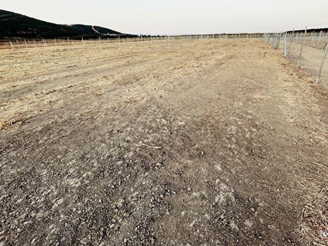 BURSA FİNANS GAYRİMENKULDEN MARMARACIKTA 931 M2 SATILIK HOBİ BAH