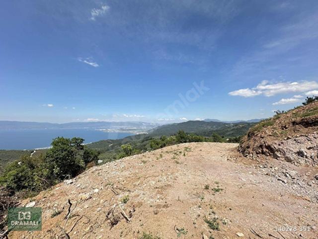 BURSA GÜNDOĞDU SATILIK DENİZ MANZARALI 4.248 M2 TARLA