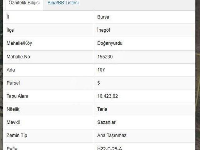 BURSA İNEGÖL DOĞANYURDU, 10 DÖNÜM, TEK TAPU, BULUNMAZ FİYAT