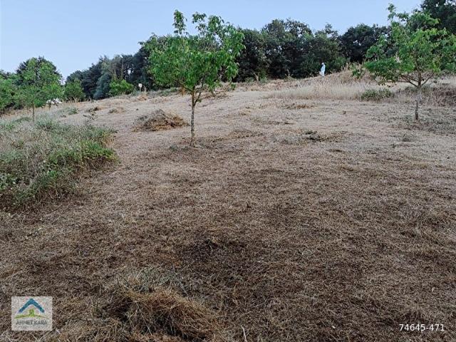 BURSA İZNİK BAYINDIR MAHALLESİ ASFALT YOL CEPHELİ 6.370 m2