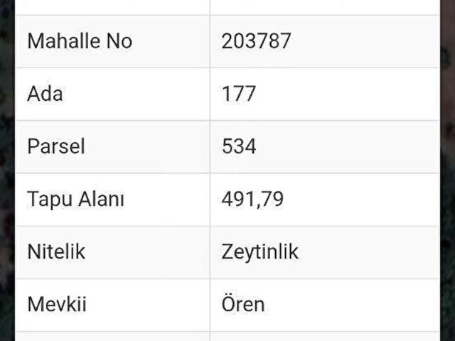 BURSA İZNİK DE SATILIK ZEYTİNLİK ARSA