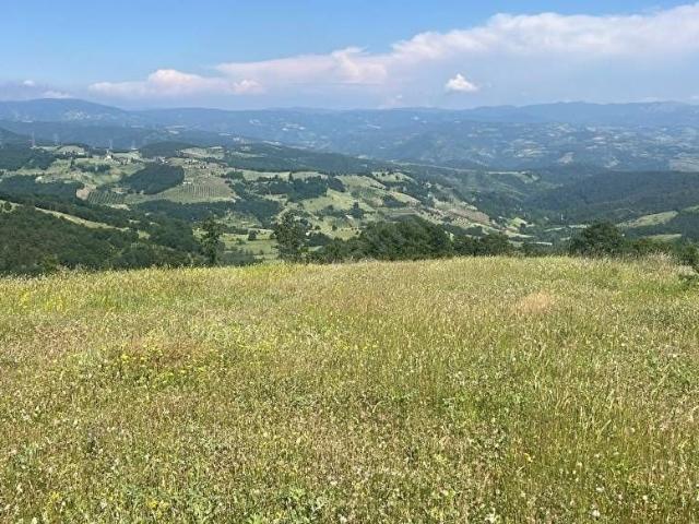 BURSA İZNİK SARIAĞIL HOBİ BAHÇESİ 11 DÖNÜM