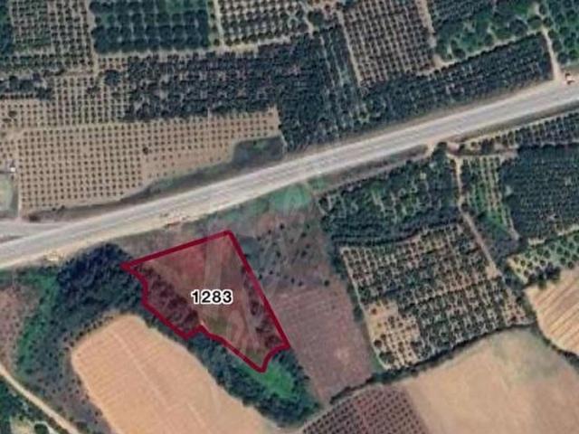 Bursa İznik kaynarca yol üstü satılık meyvalık