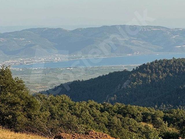 Bursa İznik Mecidiye Köyünde Satılık İmarlı Arsa