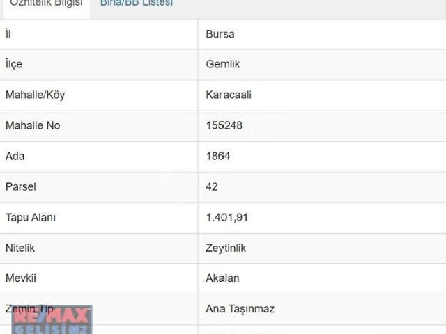 BURSA KARACAALI MH. SATILIK ZEYTINLIK