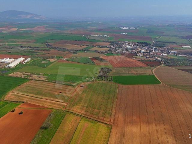 BURSA KARACABEY ARIZ MAHALLESİNDE 17.400 M VERİMLİ SATILIK TARLA