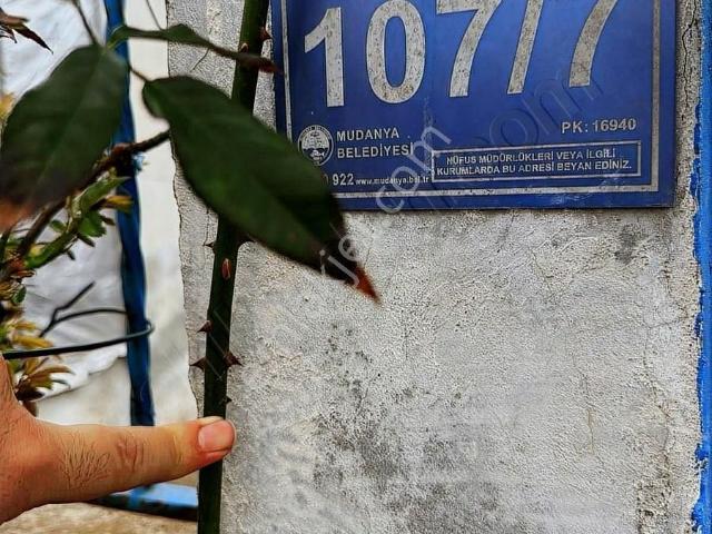 Bursa Mudanya Mesudiye Satılık Müstakil Prefabrik Ev