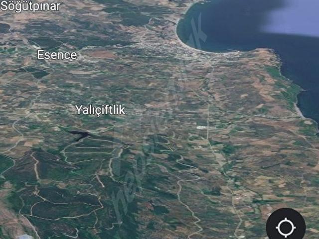 Bursa Mudanya Talatbey Deniz Manzaralı Zeytinlik 4.683m