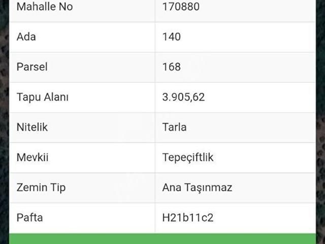 BURSA MUDANYA TALATBEYDE SATILIK MÜSTAKİL ZEYTİNLİK