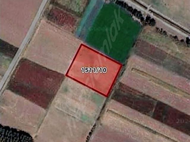 BURSA MUSTAFAKEMALPAŞA DEMİRELİ MAHALLESİ'NDE SATILIK TARLA