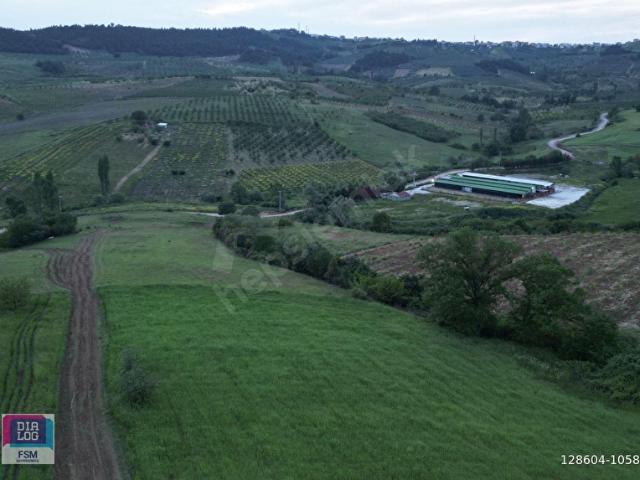 BURSA OSMANGAZİ AVDANCIK MAH DE YOLA CEPHE SATILIK ARAZİİİ