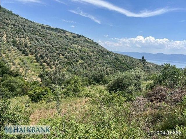 Bursa Orhangazi Satılık Arsa