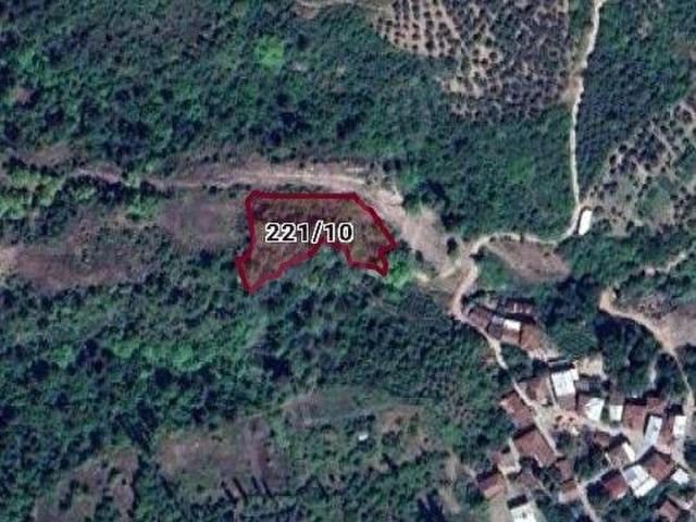 Bursa Orhangazi Yenisölöz de Köye yakın Satılık Bahçe