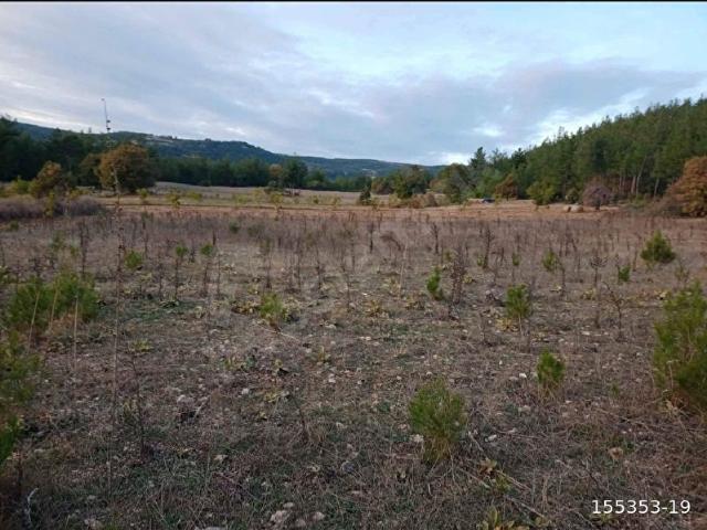 BURSAKELESISSIZÖREN KÖYÜNDE MÜSTAKİL TAPULU 6.883 M2 ÇİFLİK ARAZİSİ