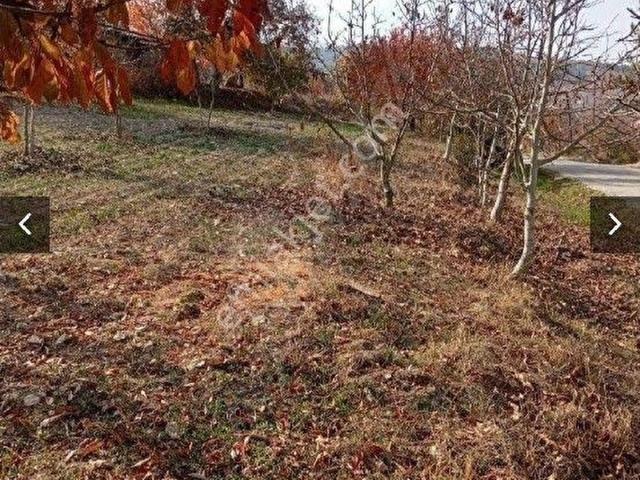 BURSAKELESISSIZÖREN KÖYÜNDE MÜSTAKİL TAPULU 1.412 M2 KÖY GİRİŞİ İMAR DİBİ SATILIK TARLA