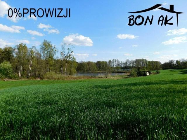Buszewo 31 500 m², Buszewo