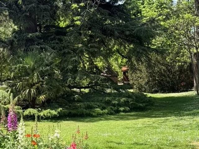 BUSCA JARDIN DES PLANTES
