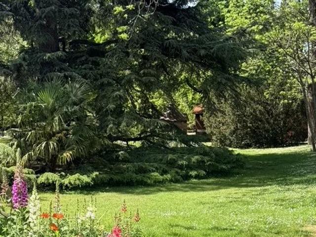 BUSCA JARDIN DES PLANTES