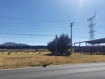 ¿Buscas espacio y oportunidad? Terreno de 1,000 m²