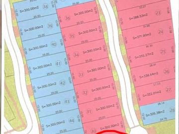 ¿Buscas lote en Altozano? Este es el bueno. ¡Llámame ya!