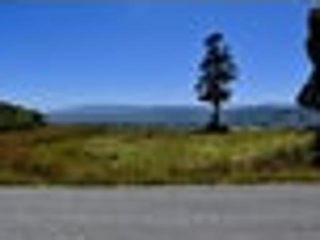 Bush on the Bend