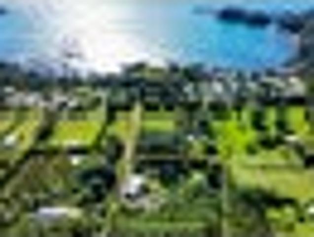 Bush & Birdsong Haven in Whanarua Bay