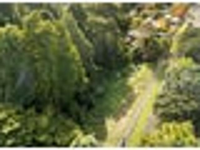 Bush Section 2428m2 In The Heart of Hillcrest
