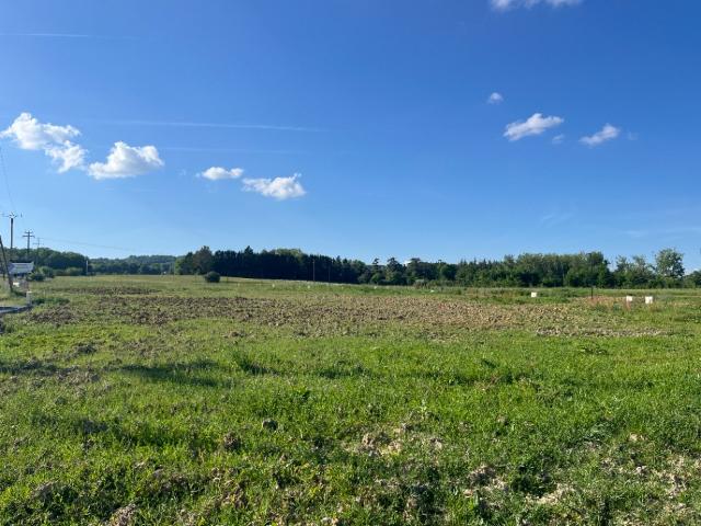 Busque Vente Terrain 81