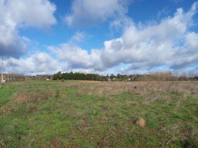 Busque Vente Terrain 81