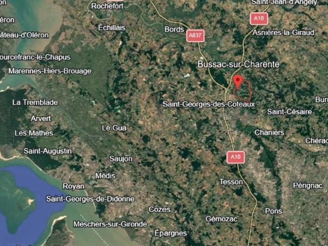 Bussac sur Charente Vente Terrain 17