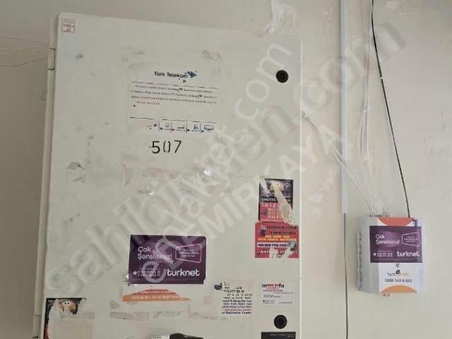 Büyükdere Mah. Üni. Yakını 1+1 Kiralık Daire Demirkaya Emlak